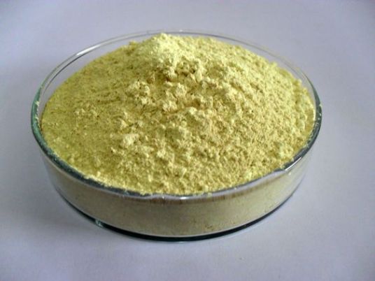 Radix Scutellariae Extract Radix Scutellariae Extract